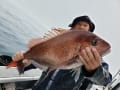 里輝丸 釣果