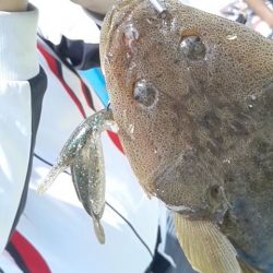 さわ浦丸 釣果