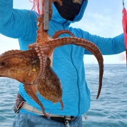 遊漁船　ニライカナイ 釣果