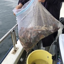 たかみ丸 釣果