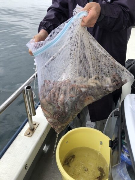 たかみ丸 釣果