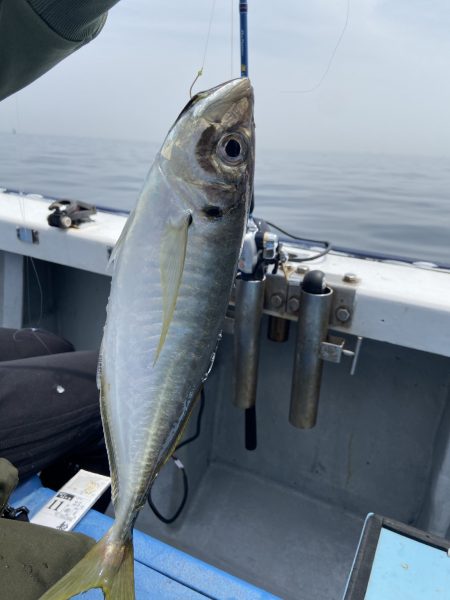 夢丸 釣果