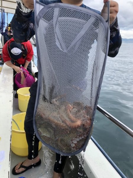 たかみ丸 釣果