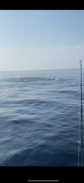 へいみつ丸 釣果