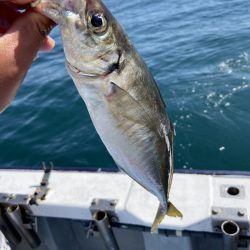 夢丸 釣果