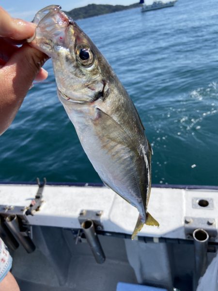 夢丸 釣果