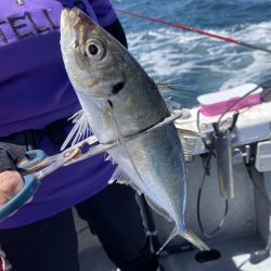 夢丸 釣果