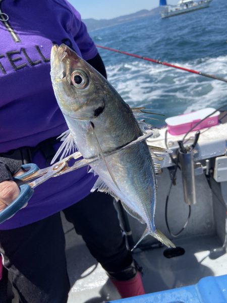 夢丸 釣果