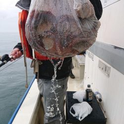 たかみ丸 釣果