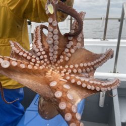 夢丸 釣果