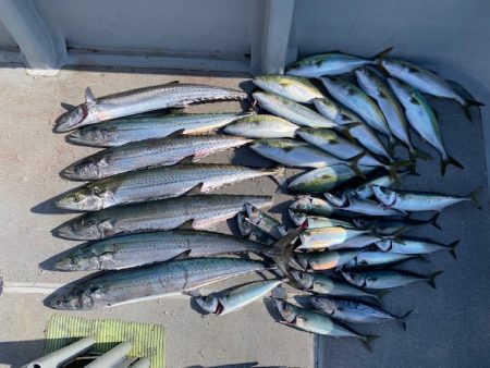 へいみつ丸 釣果