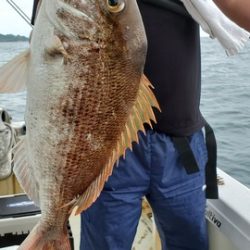 遊漁船　ニライカナイ 釣果