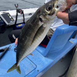 夢丸 釣果