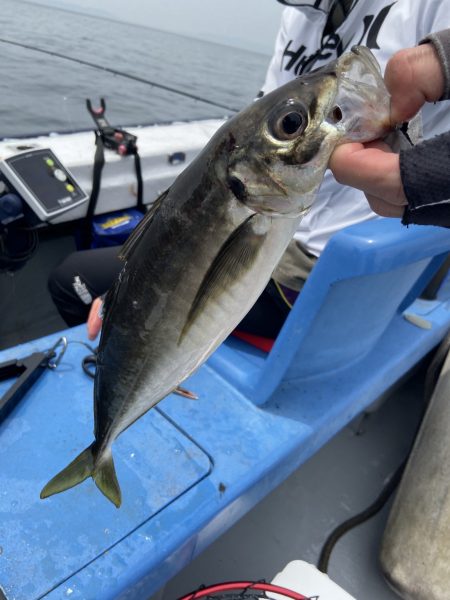 夢丸 釣果