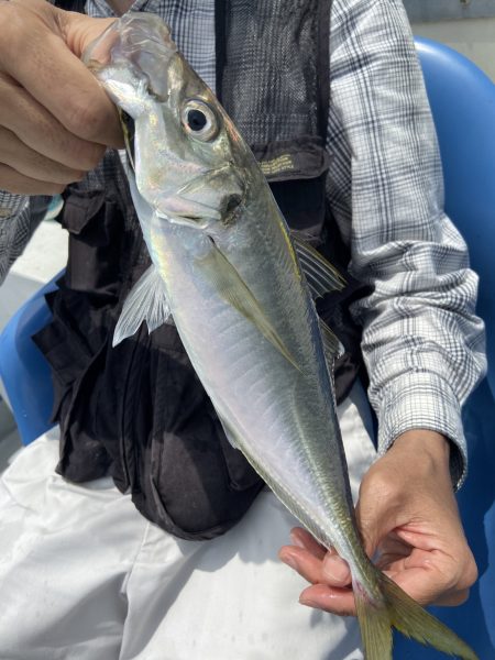 夢丸 釣果