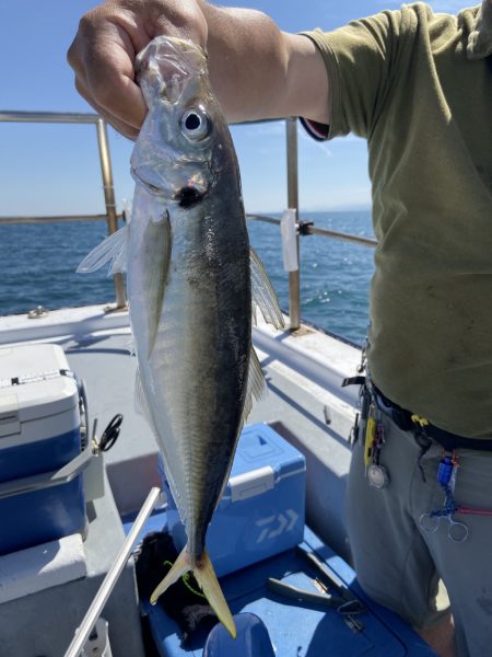 夢丸 釣果