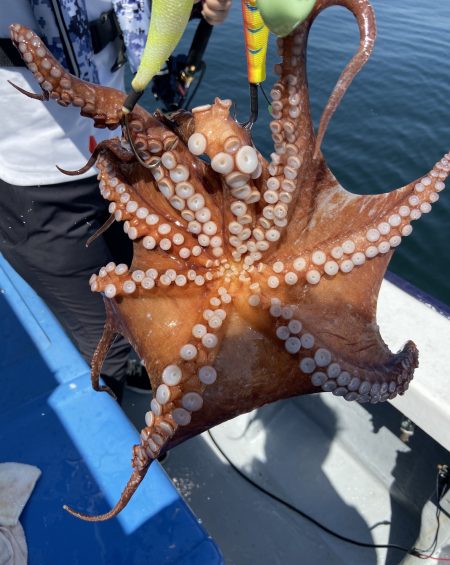 夢丸 釣果