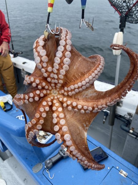 夢丸 釣果