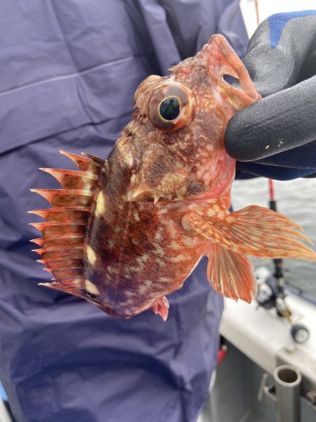 夢丸 釣果