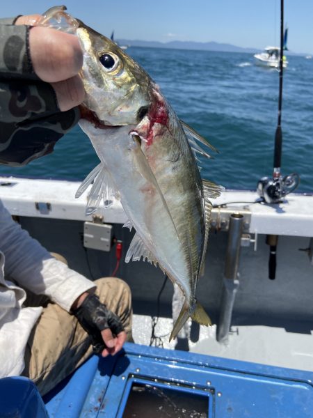 夢丸 釣果