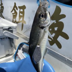 夢丸 釣果