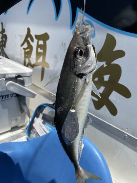 夢丸 釣果