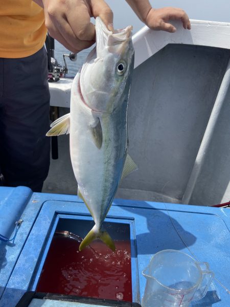 夢丸 釣果