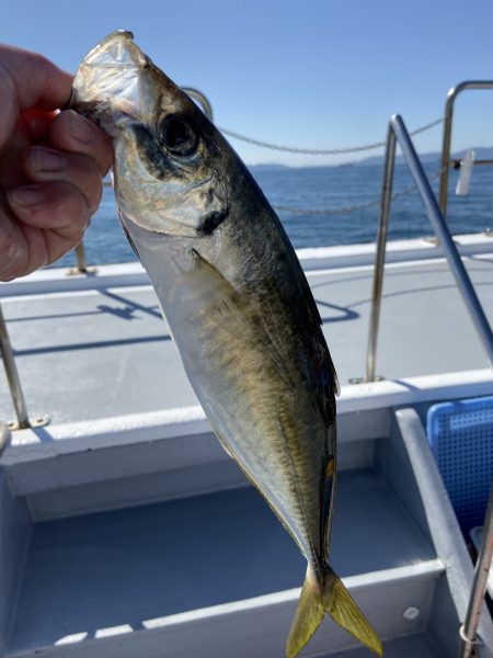 夢丸 釣果