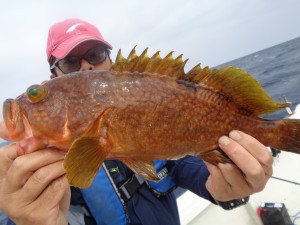 兼六丸 釣果