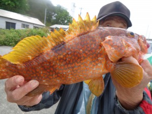 兼六丸 釣果