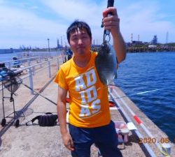 鹿島港魚釣園 釣果