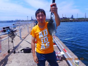 鹿島港魚釣園 釣果