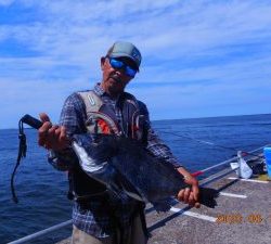 鹿島港魚釣園 釣果