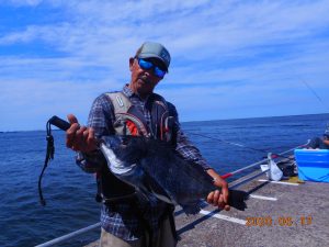 鹿島港魚釣園 釣果