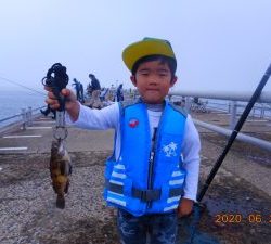 鹿島港魚釣園 釣果