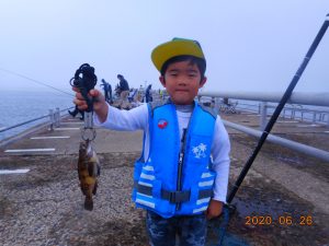 鹿島港魚釣園 釣果