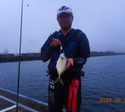 鹿島港魚釣園 釣果