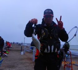 鹿島港魚釣園 釣果