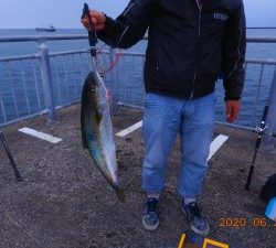 鹿島港魚釣園 釣果