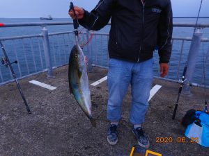 鹿島港魚釣園 釣果