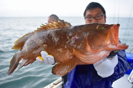 Fisherman Dreams DI 釣果