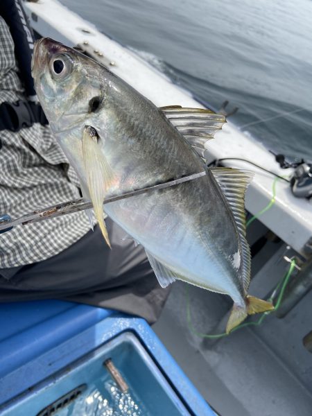 夢丸 釣果