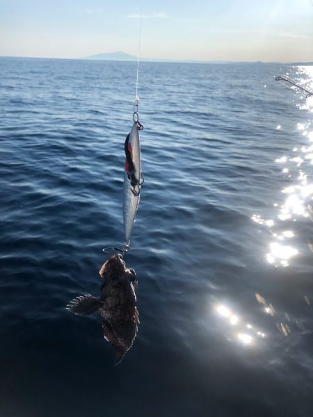 昭和丸 釣果