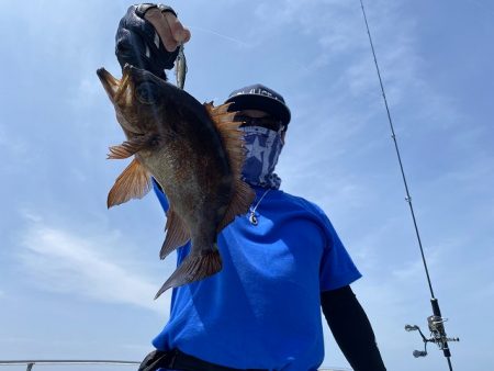 三吉丸 釣果