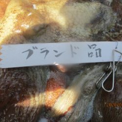 まとばや 釣果