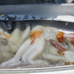 まとばや 釣果