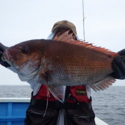 清栄丸 釣果