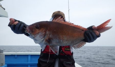 清栄丸 釣果