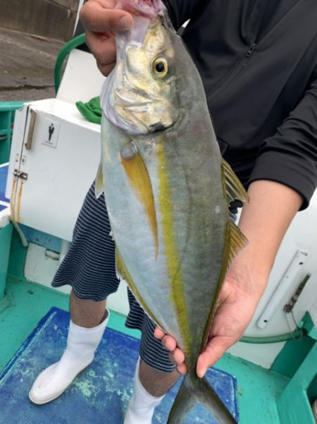 松栄丸 釣果