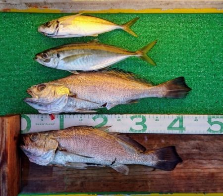 火遠理丸（ほおりまる） 釣果